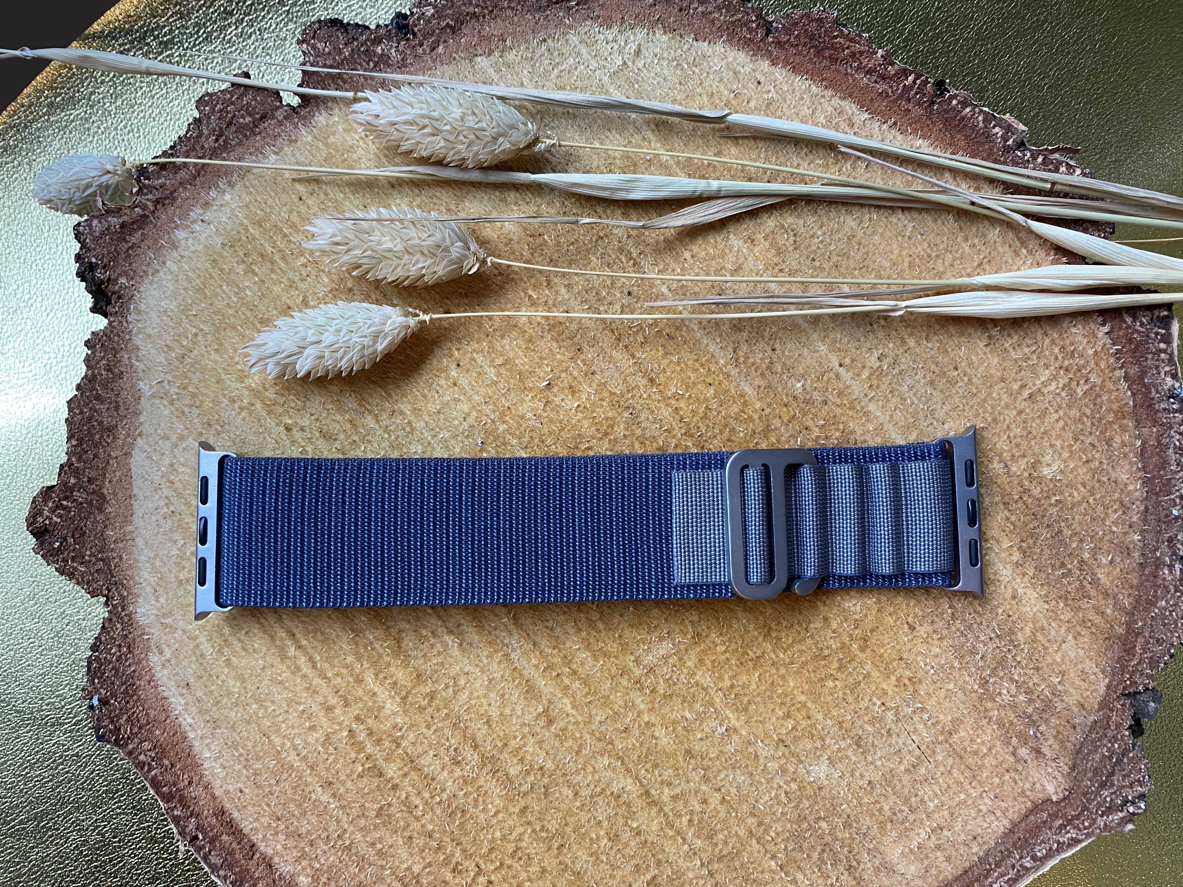 Correa loop Alpine de nailon para el Apple Watch - azul