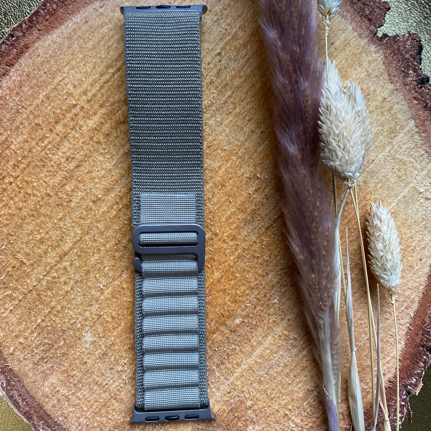 Correa loop Alpine de nailon para el Apple Watch - aceituna